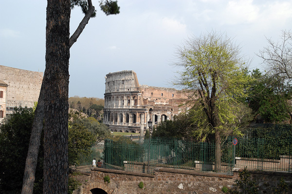 DSC_0343.jpg