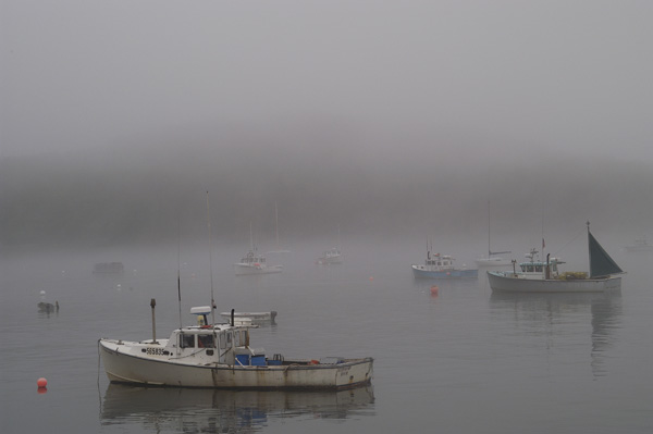 DSC_0278.jpg