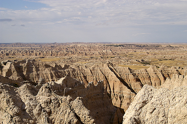 dsc_1297.jpg