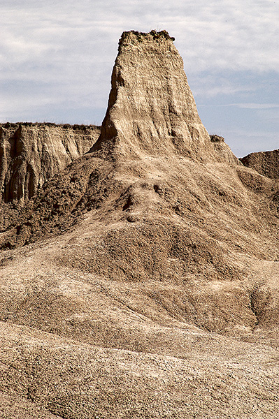 dsc_1341v_v.jpg