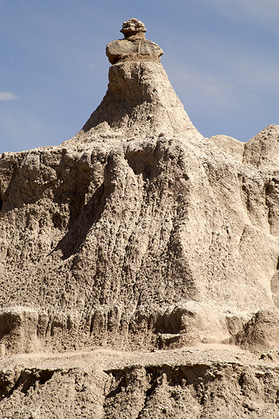 dsc_1388v_v.jpg
