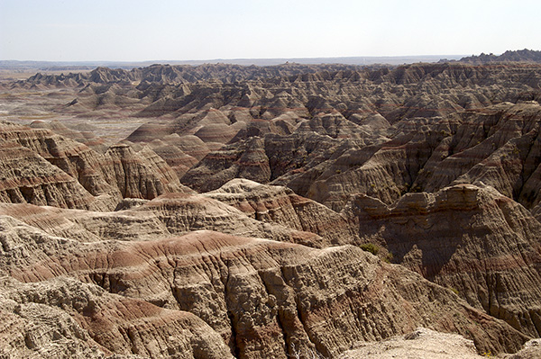 dsc_1392.jpg