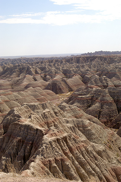 dsc_1393v_v.jpg
