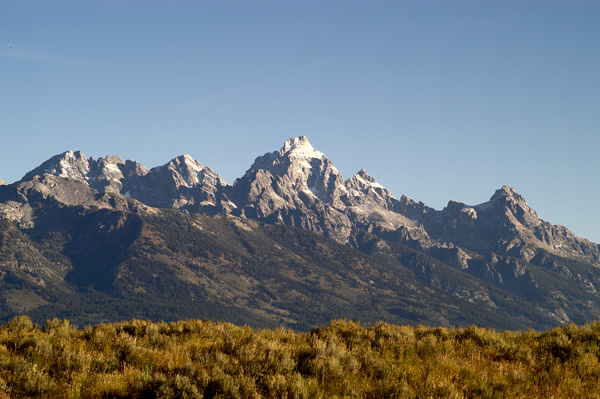 DSC_0443.jpg