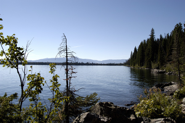 DSC_0455.jpg