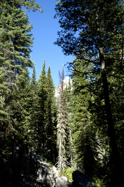 DSC_0457_v.jpg