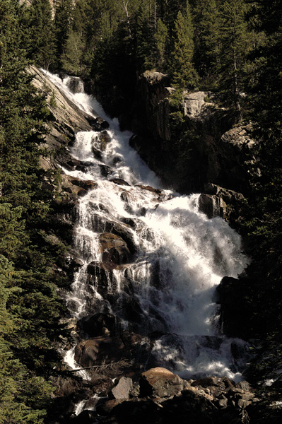 DSC_0461_v.jpg