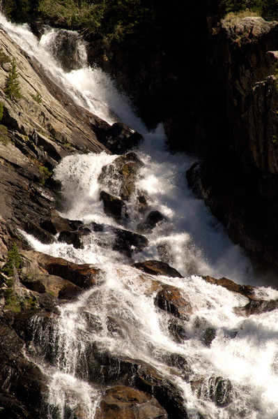 DSC_0468_v.jpg