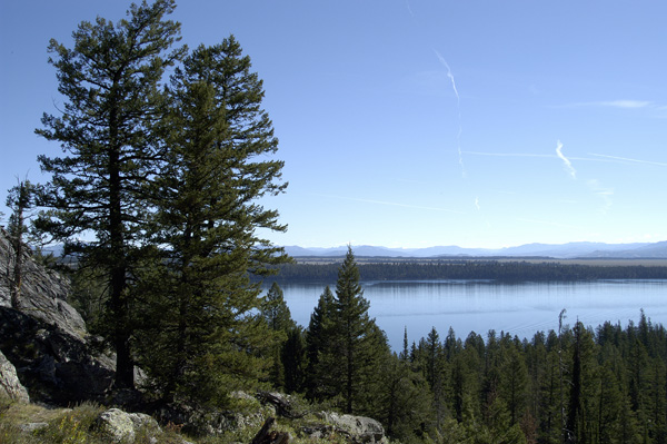 DSC_0470.jpg