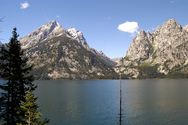 DSC_0486.jpg