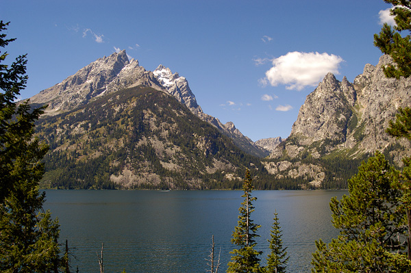 DSC_0490.jpg