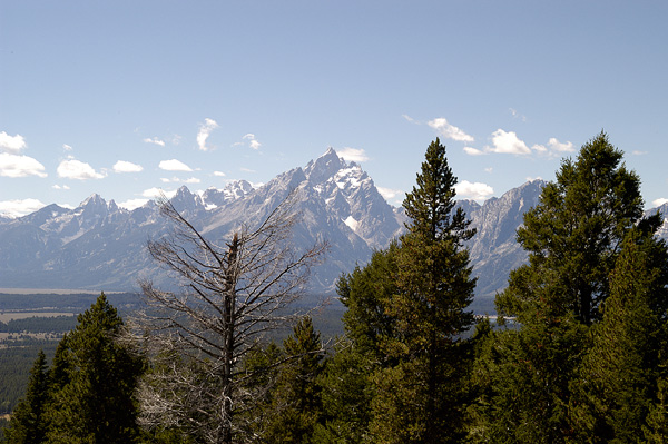 DSC_0495.jpg
