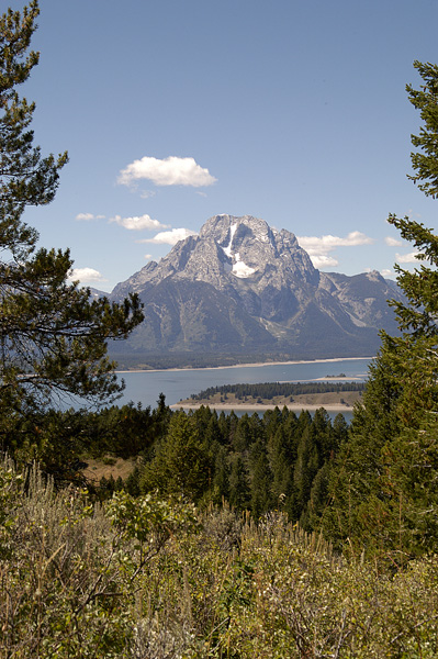 DSC_0505_v.jpg
