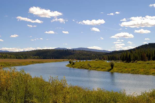 DSC_0507.jpg