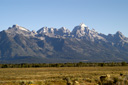 DSC_0442.jpg