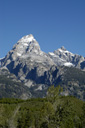 DSC_0450_v.jpg