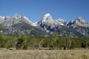 DSC_0452.jpg