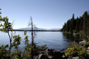 DSC_0455.jpg