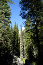 DSC_0457_v.jpg