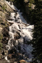DSC_0460_v.jpg