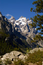 DSC_0475_v.jpg