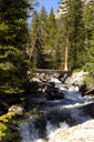 DSC_0478_v.jpg
