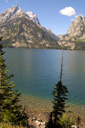 DSC_0487_v.jpg