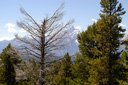 DSC_0494.jpg