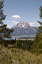DSC_0505_v.jpg
