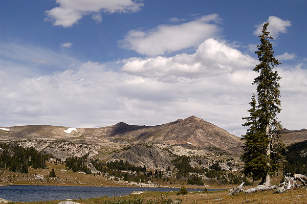 dsc_1064.jpg
