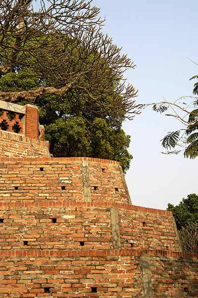 dsc_2203_v.jpg