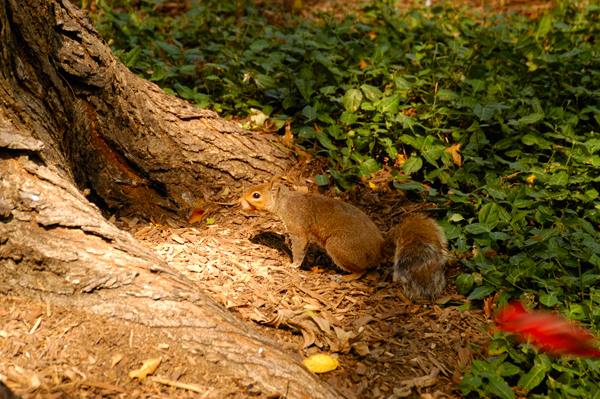 DSC_2482.jpg