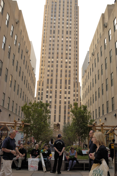DSC_2537_v.jpg