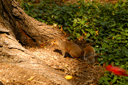 DSC_2482.jpg