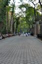 dsc_2514_v.jpg