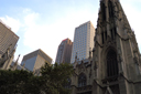 dsc_2524.jpg
