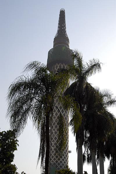 dsc_3733_v.jpg