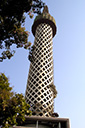 dsc_3738_v.jpg