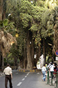 dsc_3764_v.jpg