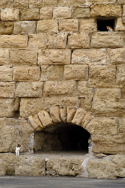 dsc_3157_v.jpg
