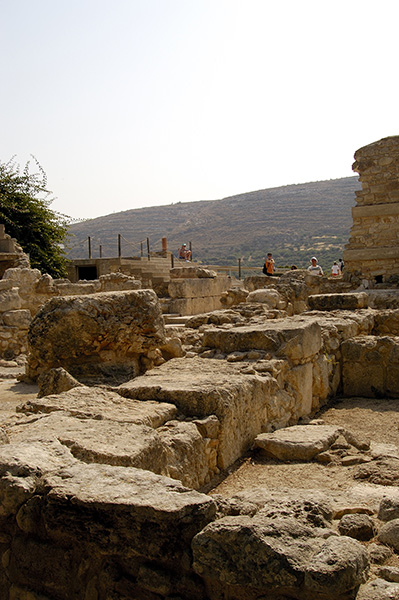 dsc_3170_v.jpg