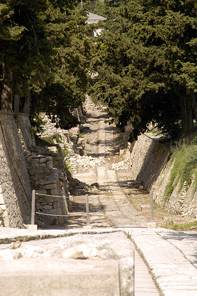 dsc_3204_v.jpg