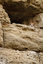 dsc_3154_v.jpg