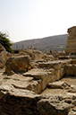 dsc_3170_v.jpg