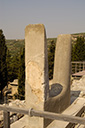 dsc_3178_v.jpg