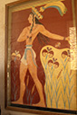 dsc_3181_v.jpg
