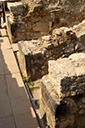 dsc_3190_v.jpg