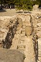 dsc_3191_v.jpg
