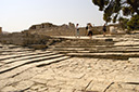 dsc_3205.jpg