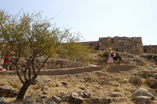 dsc_3297.jpg